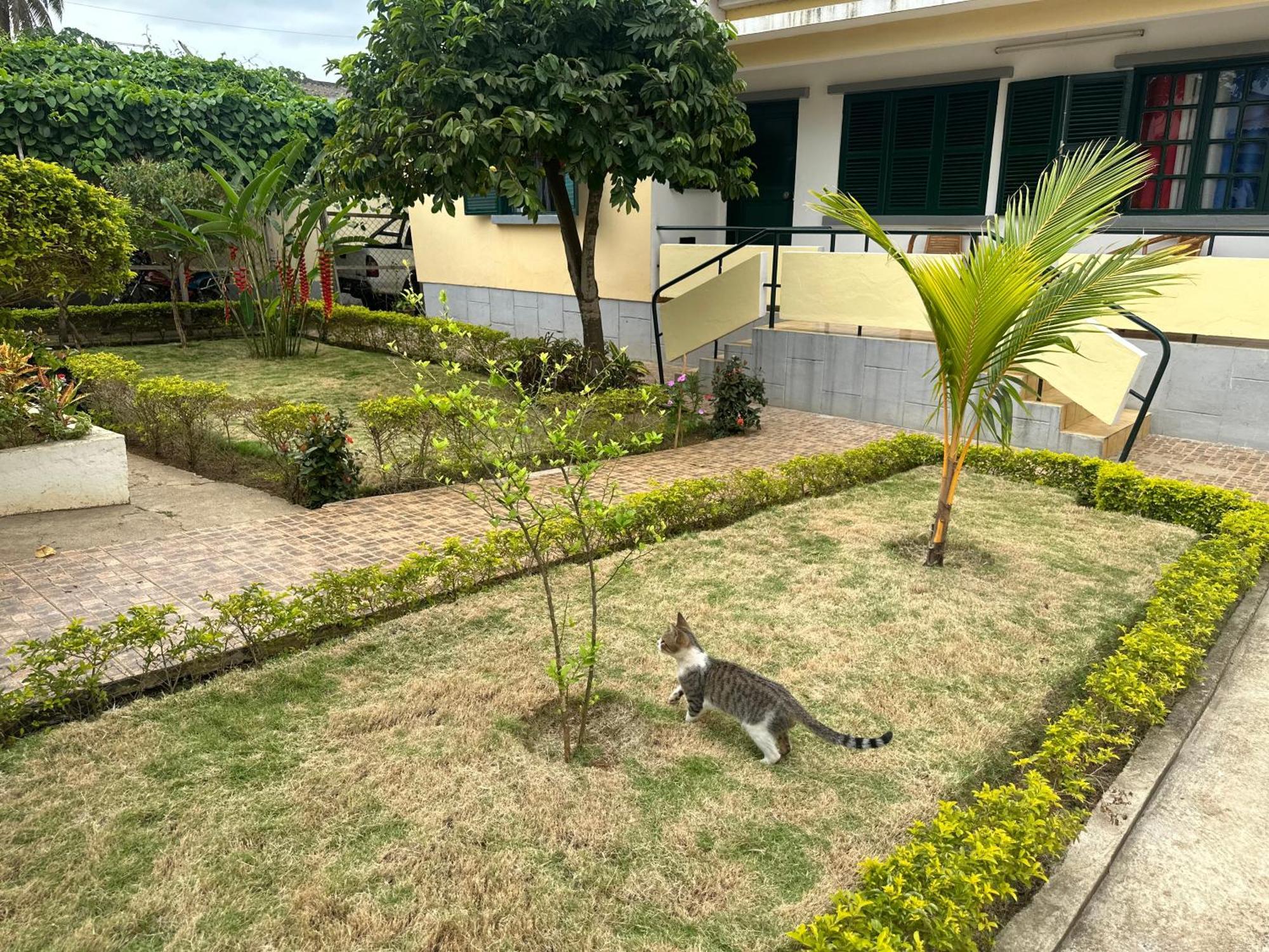 J Nova Lda Apartment Sao Tome Exterior photo